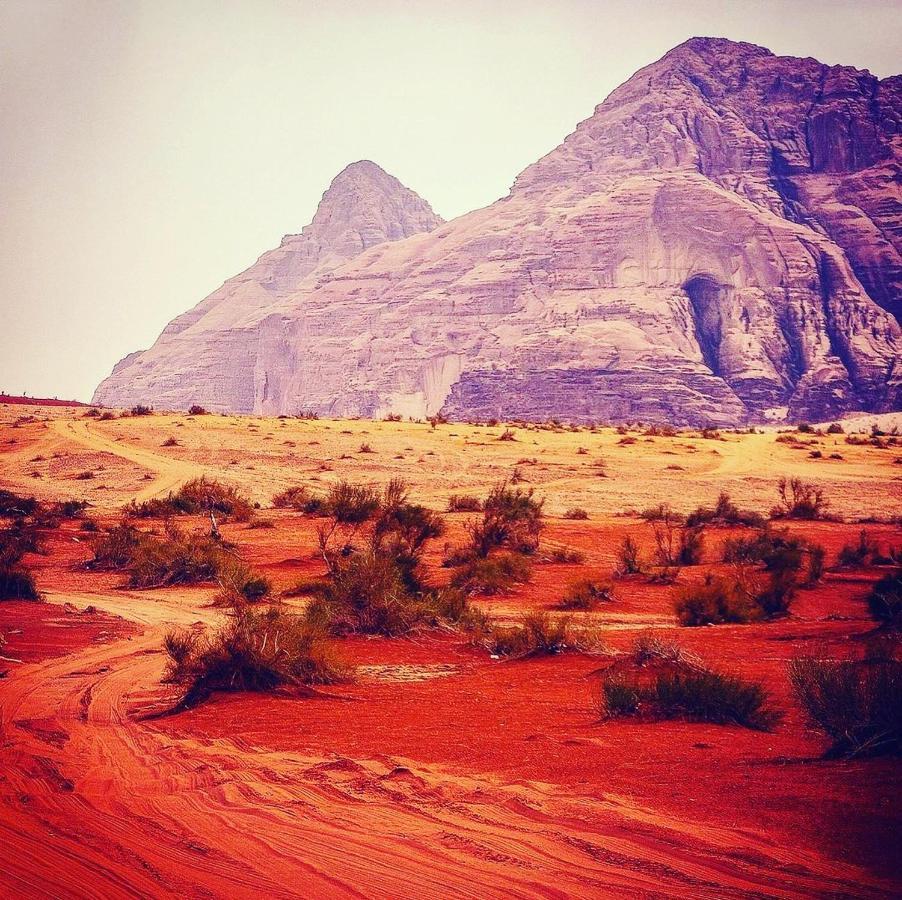 Maraheb Luxury Camp Hotel Wadi Rum Exterior photo